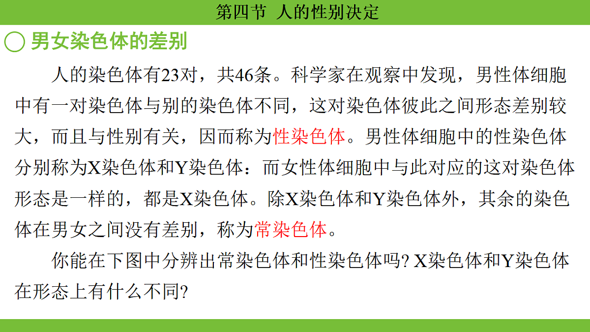 17670652第5页