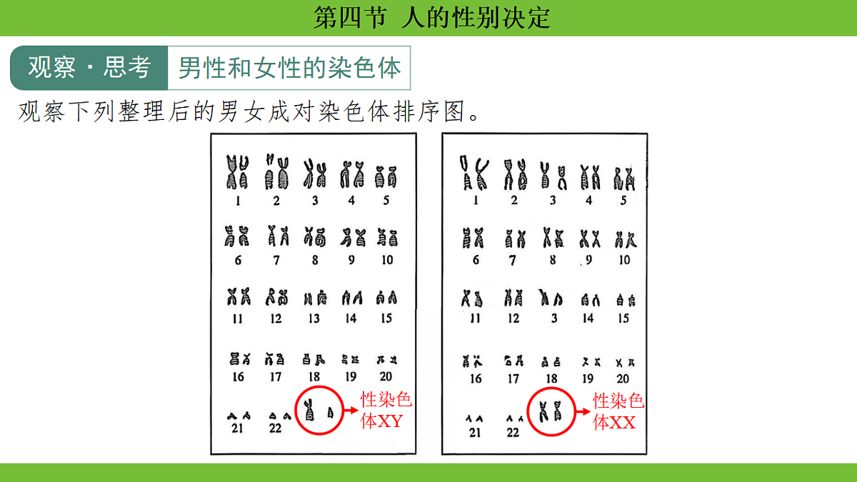17670652第6页