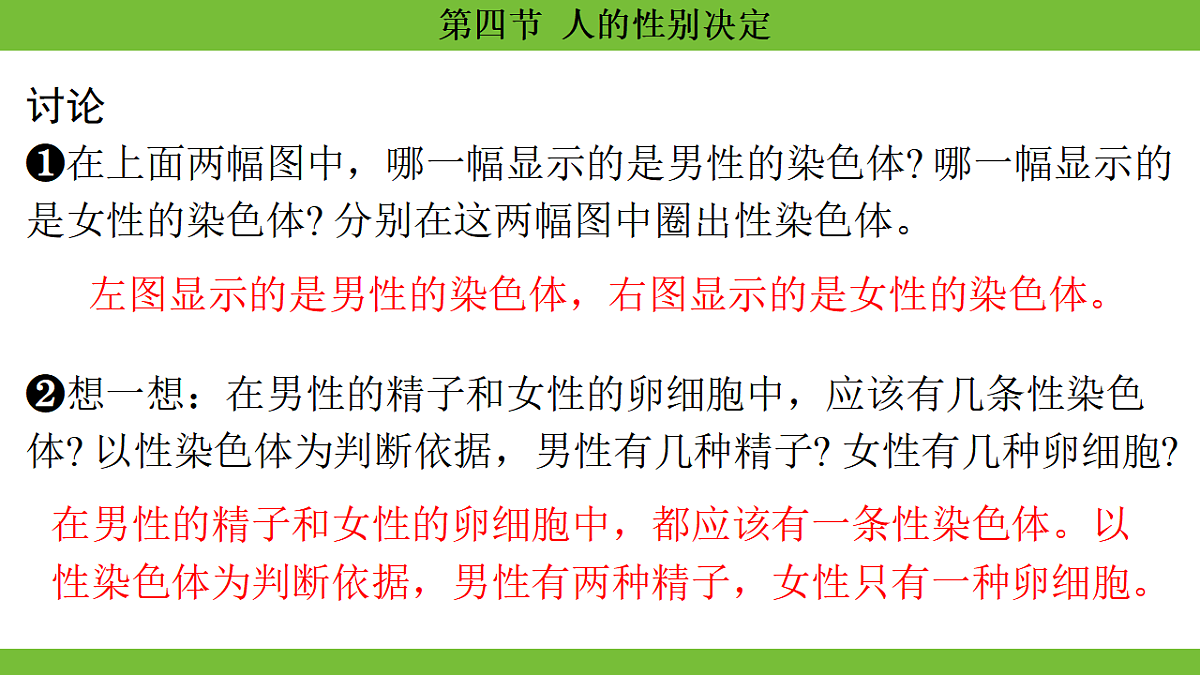 17670652第7页