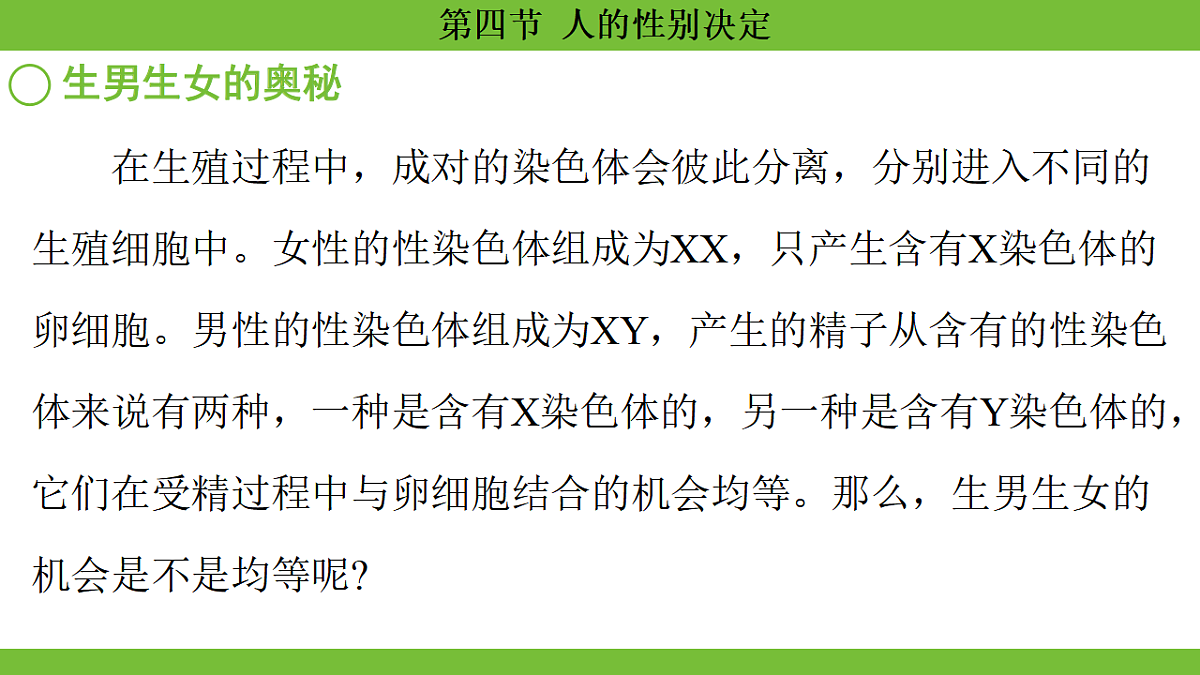17670652第8页