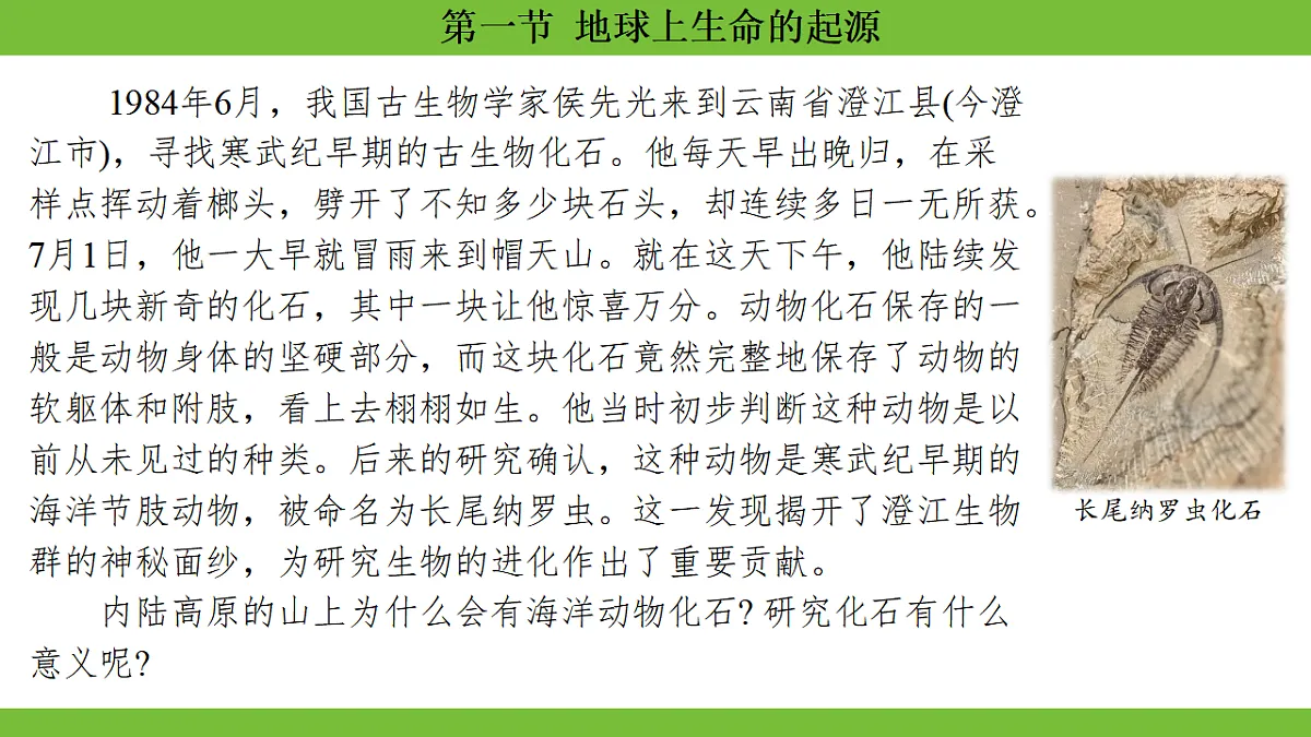 17670654第3页