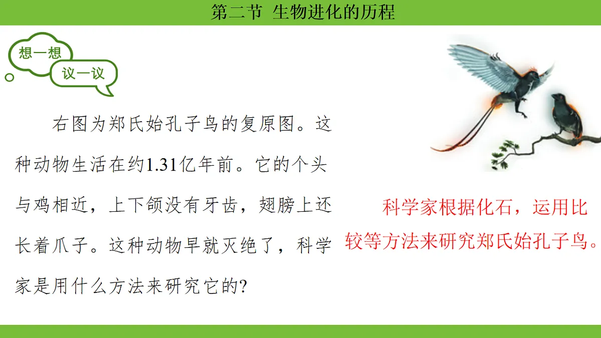 17670655第3页