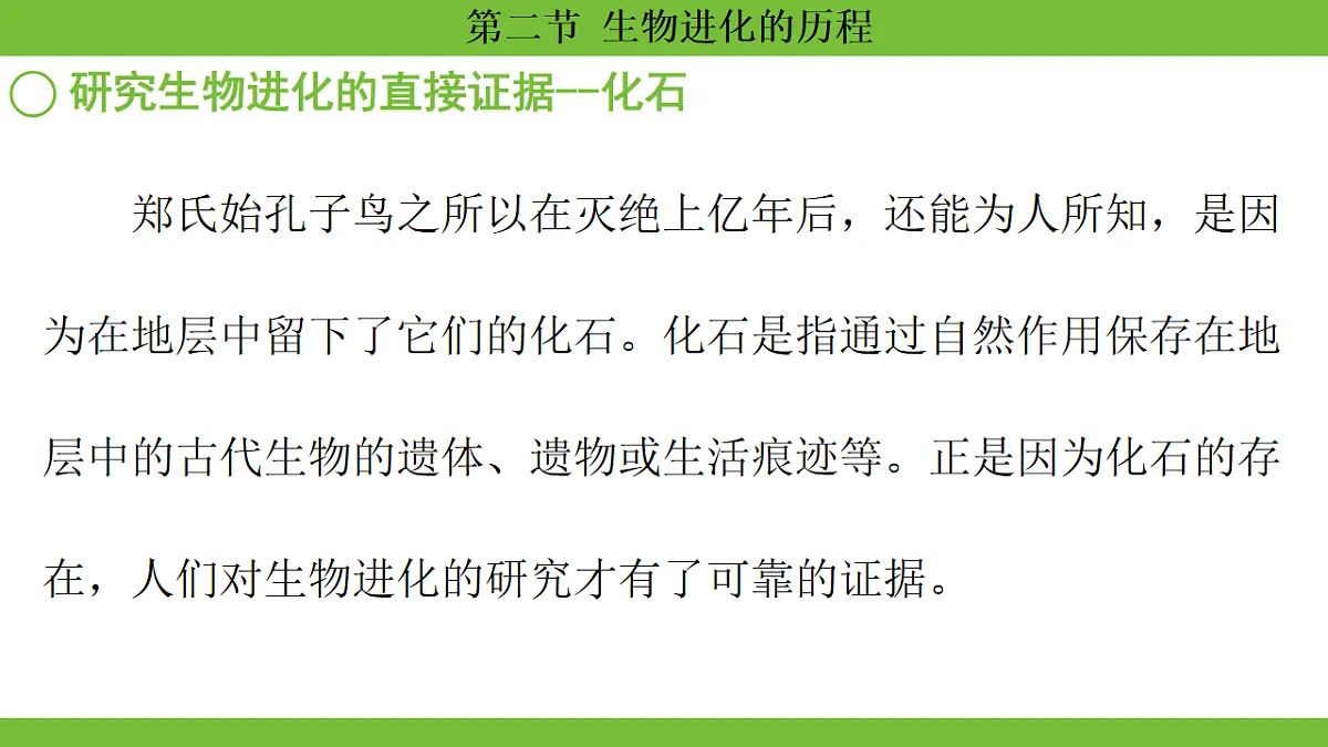 17670655第4页