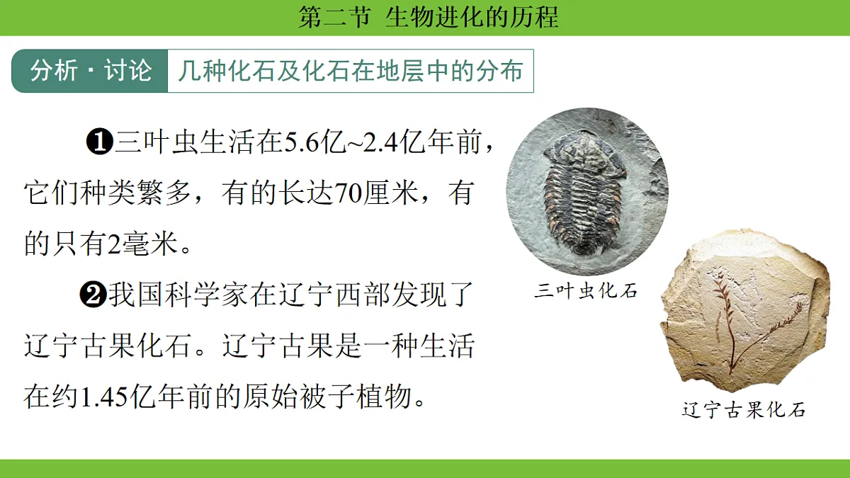 17670655第5页