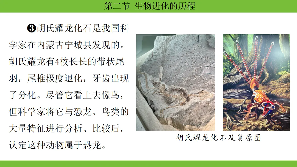 17670655第6页