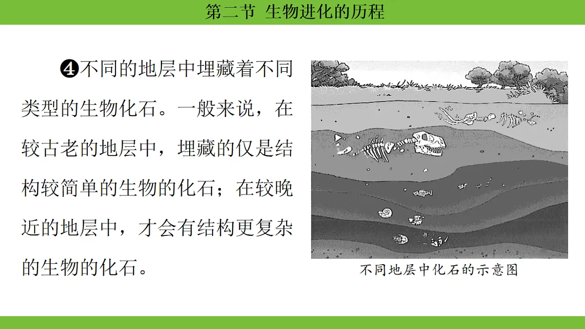 17670655第7页