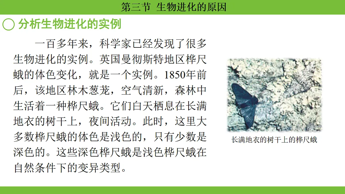 17670656第5页