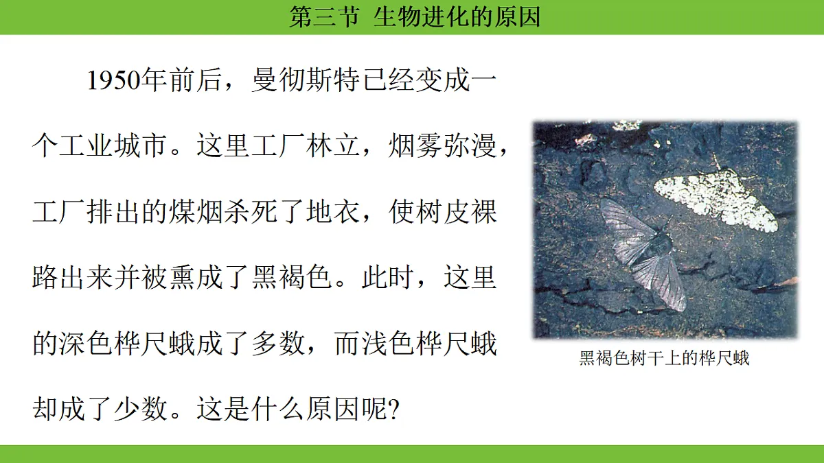 17670656第6页