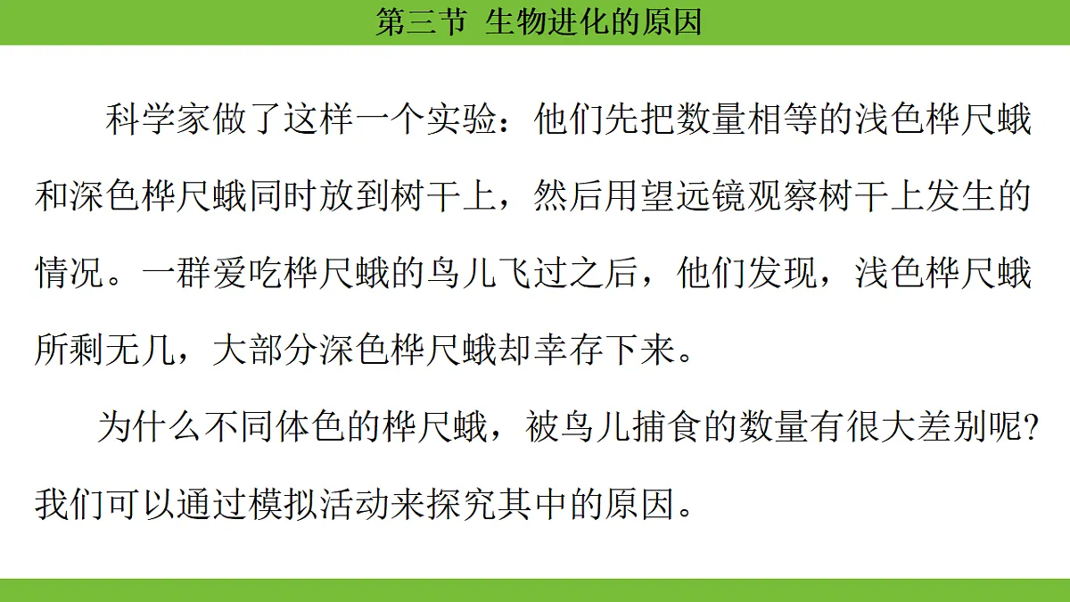 17670656第7页