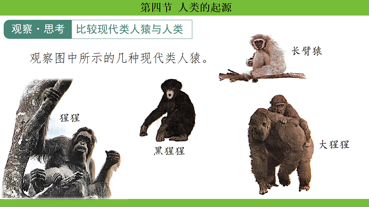 17670657第6页