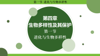 初中生物人教版(2024)八年级下册(2024)第一节 进化与生物多样性教学演示课件ppt