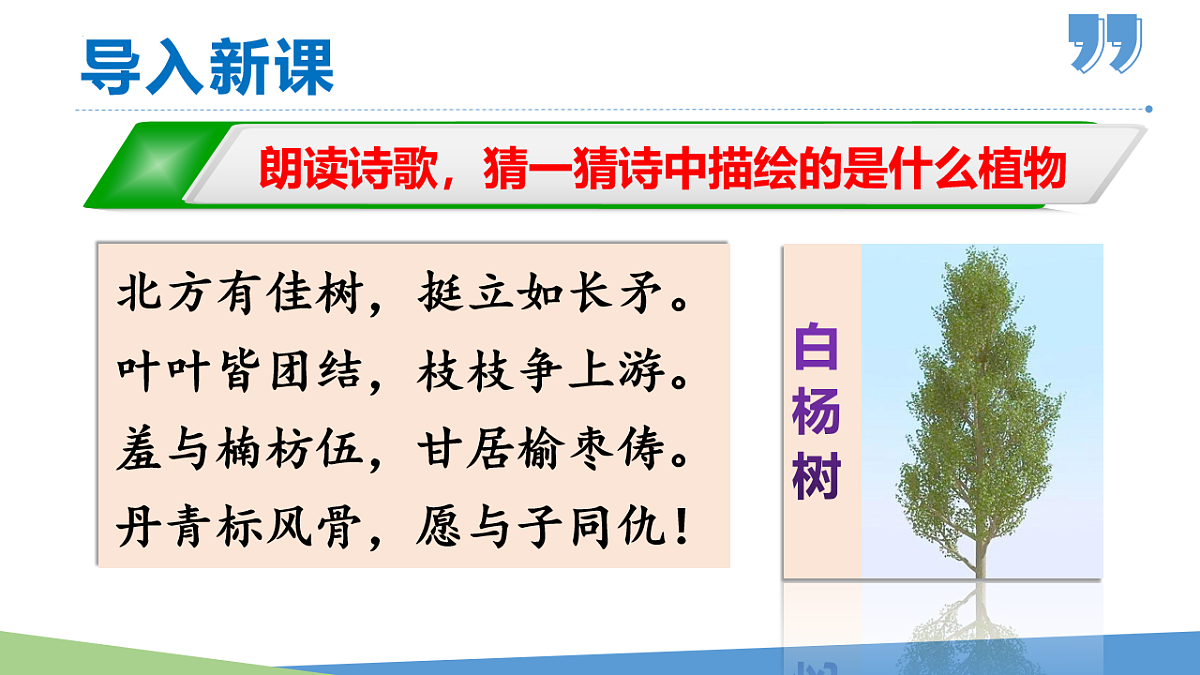17671452第1页