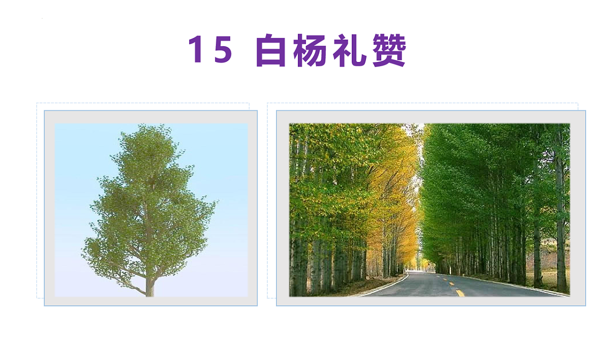 17671452第2页