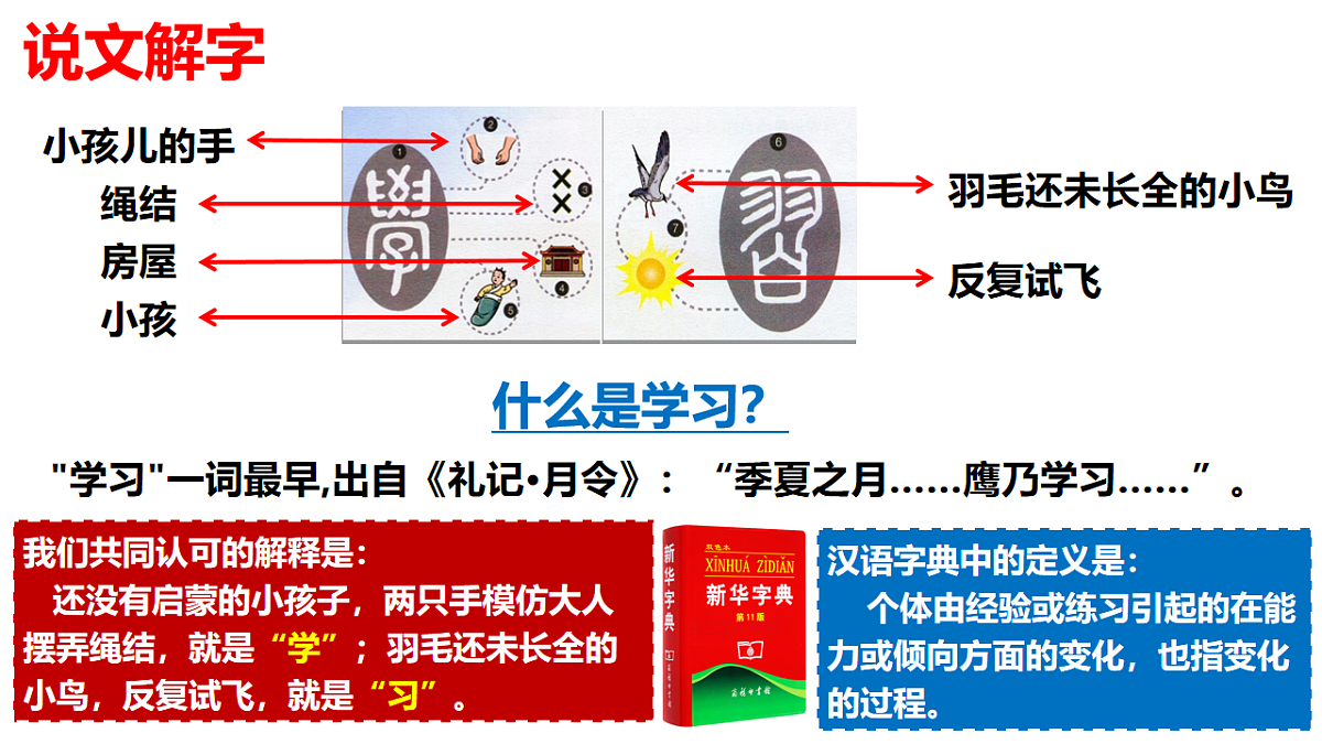 17671906第2页