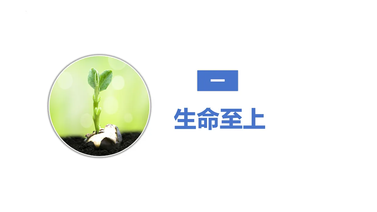 17671910第3页