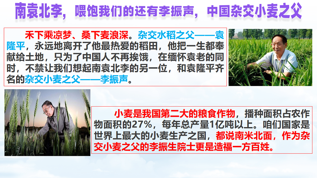 17671913第4页