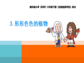 教科版六年级下册第二单元 第三课《形形色色的植物》课件
