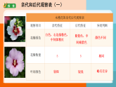 教科版六年级下册第二单元 第三课《形形色色的植物》课件
