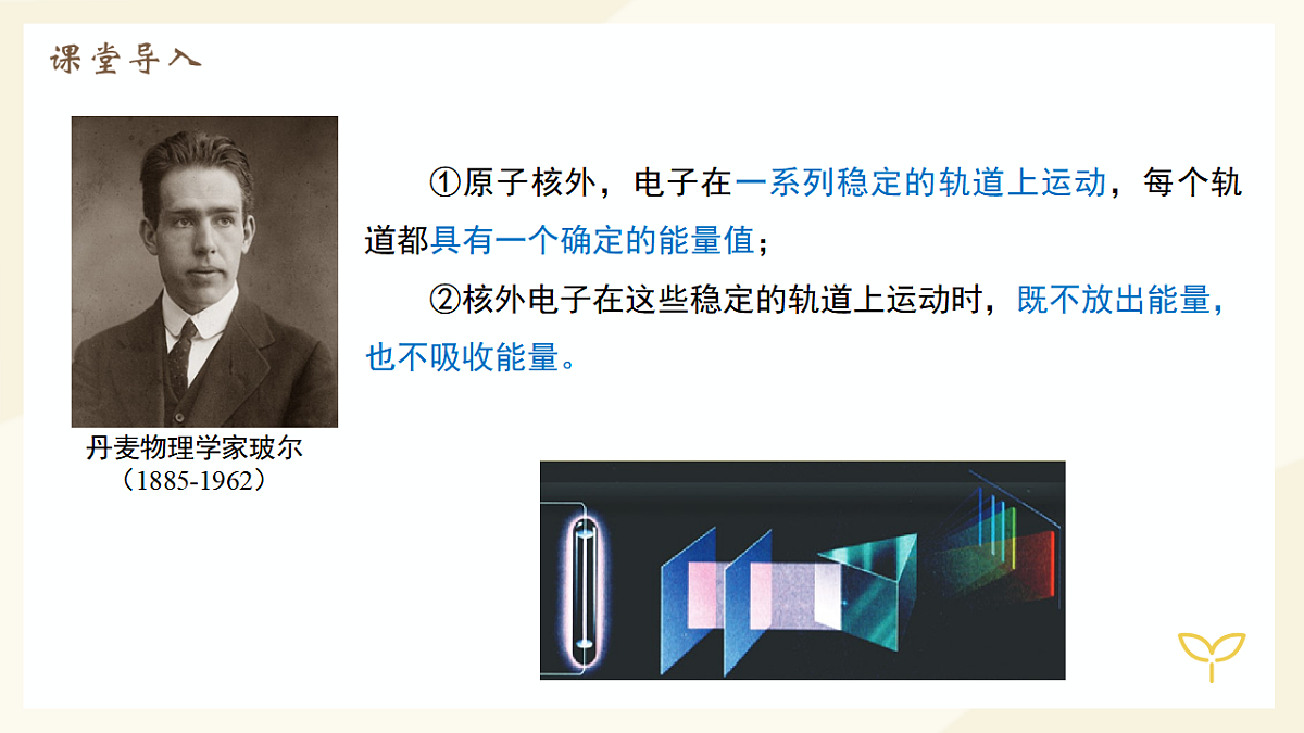 17672256第3页