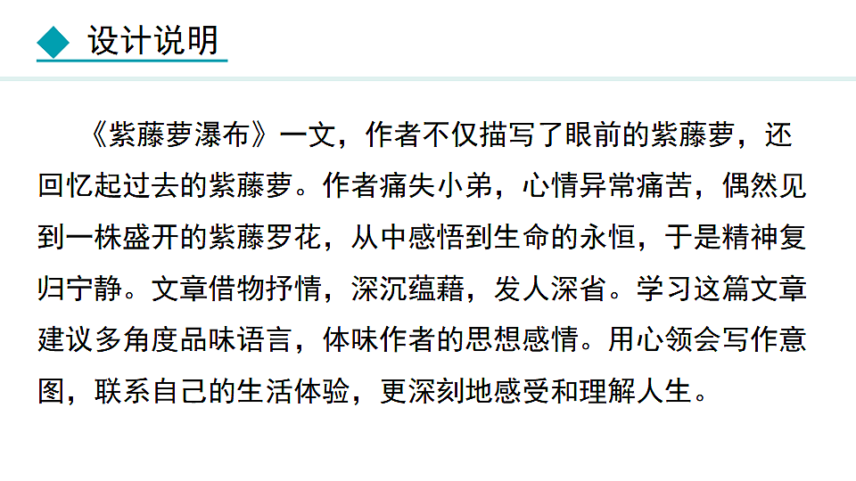 17672504第2页