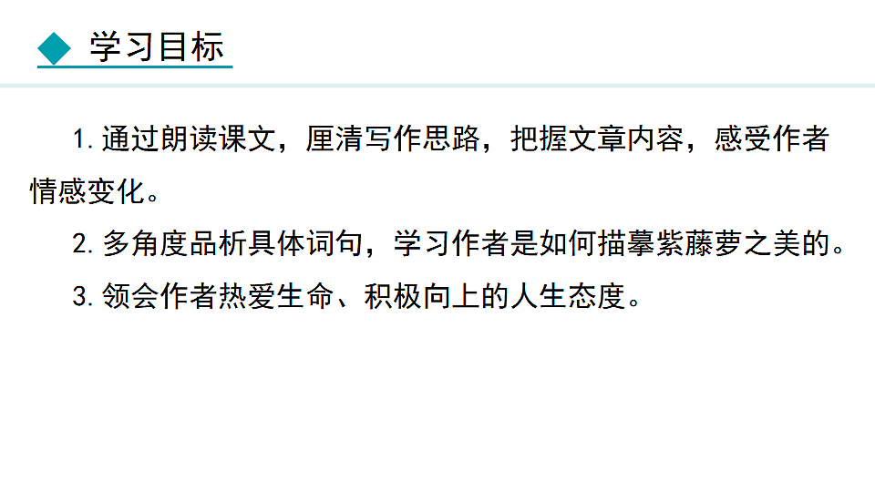 17672504第3页