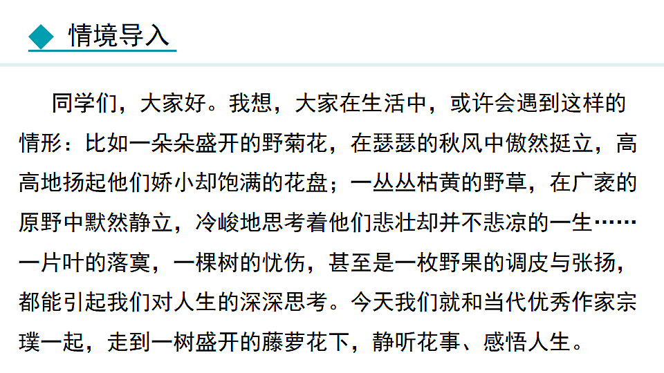 17672504第5页