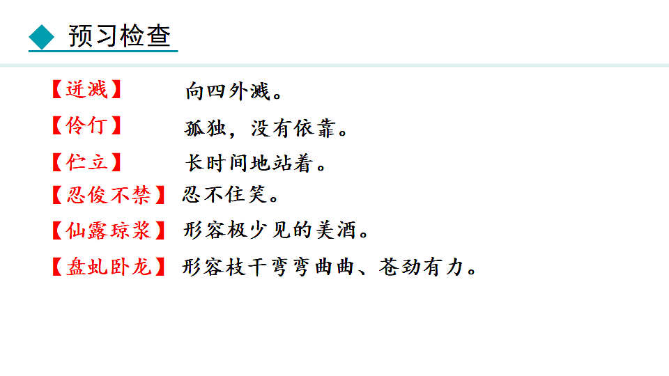 17672504第7页
