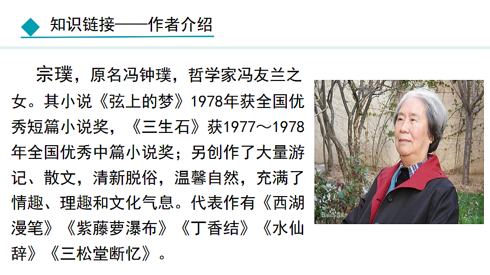 17672504第8页
