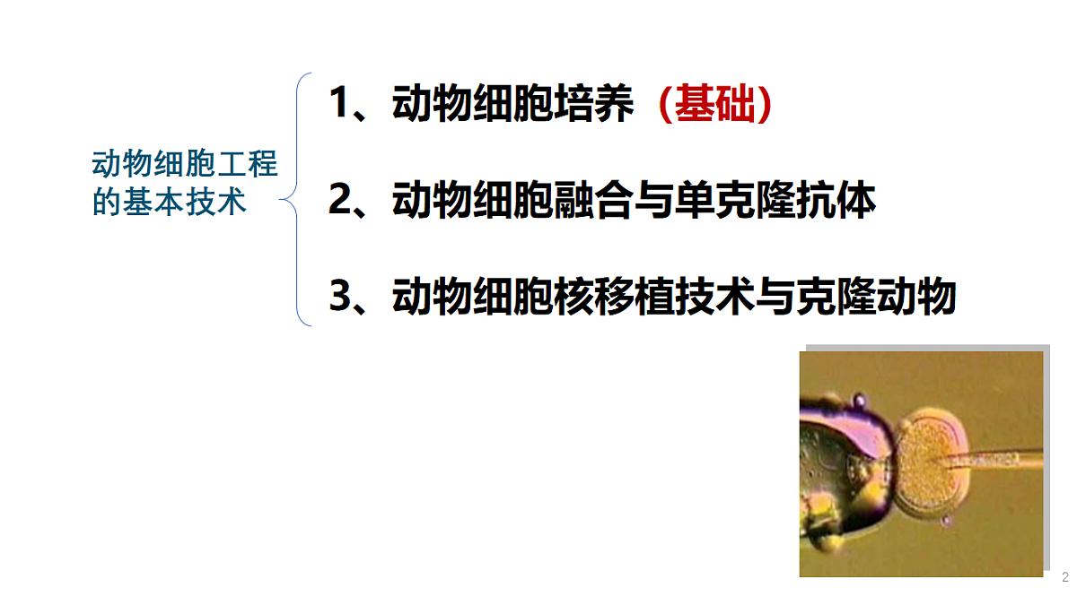 17672721第2页