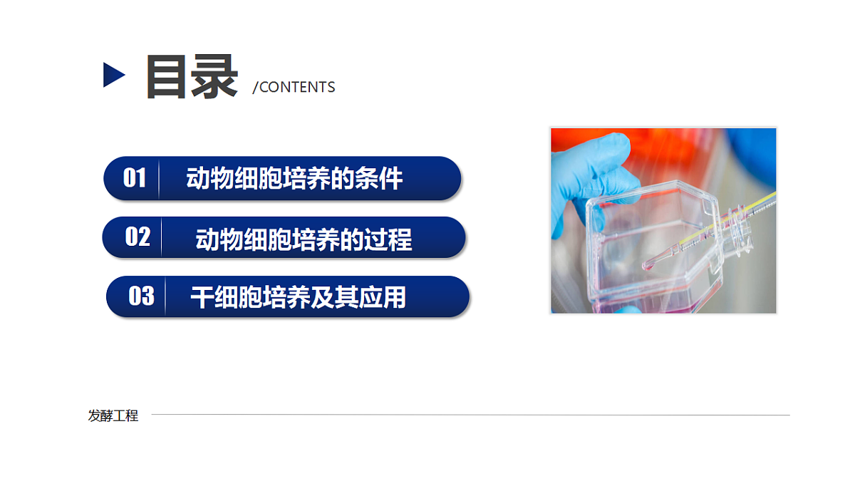 17672721第3页