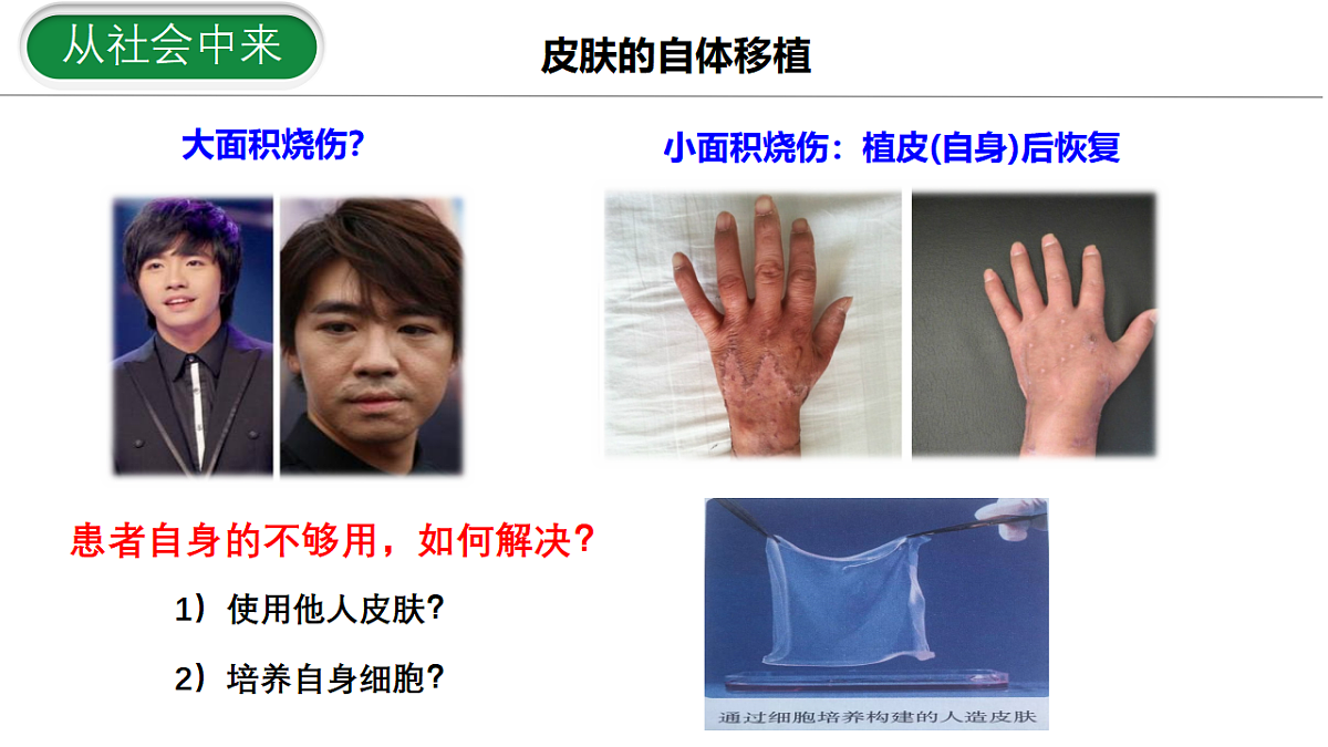 17672721第4页