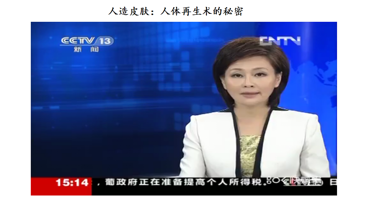 17672721第5页