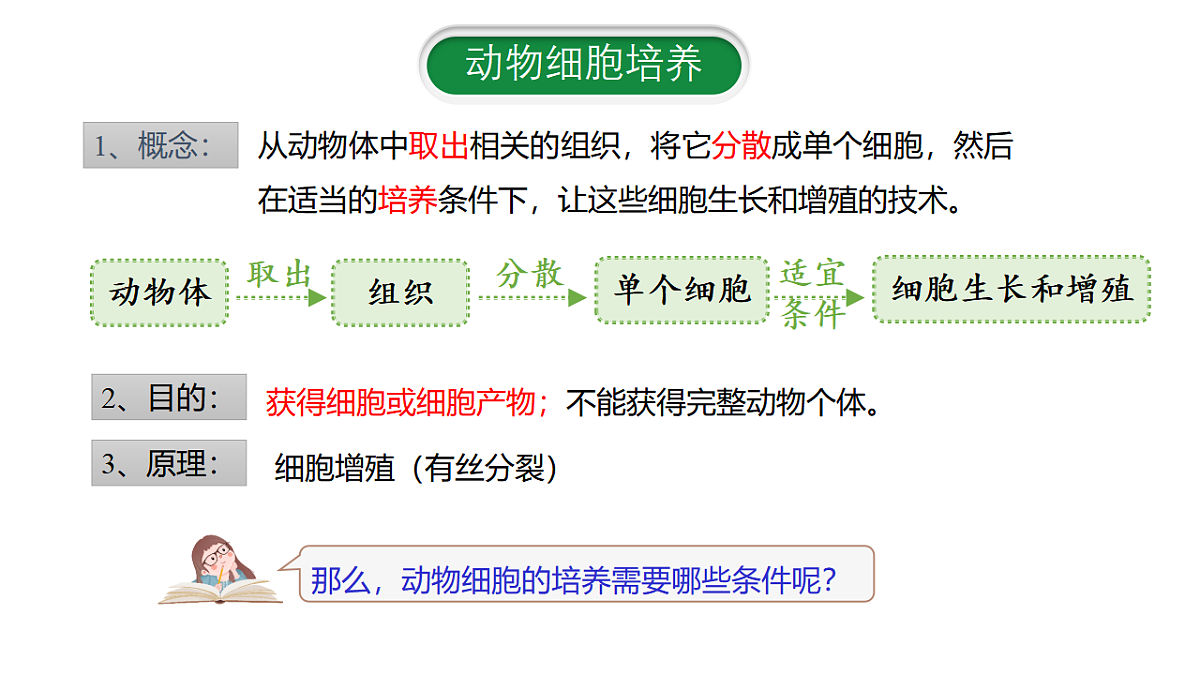 17672721第6页