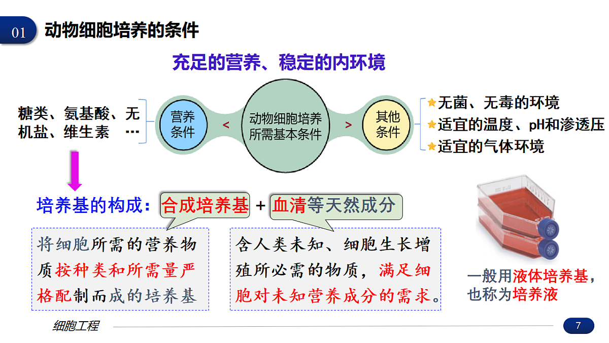 17672721第7页