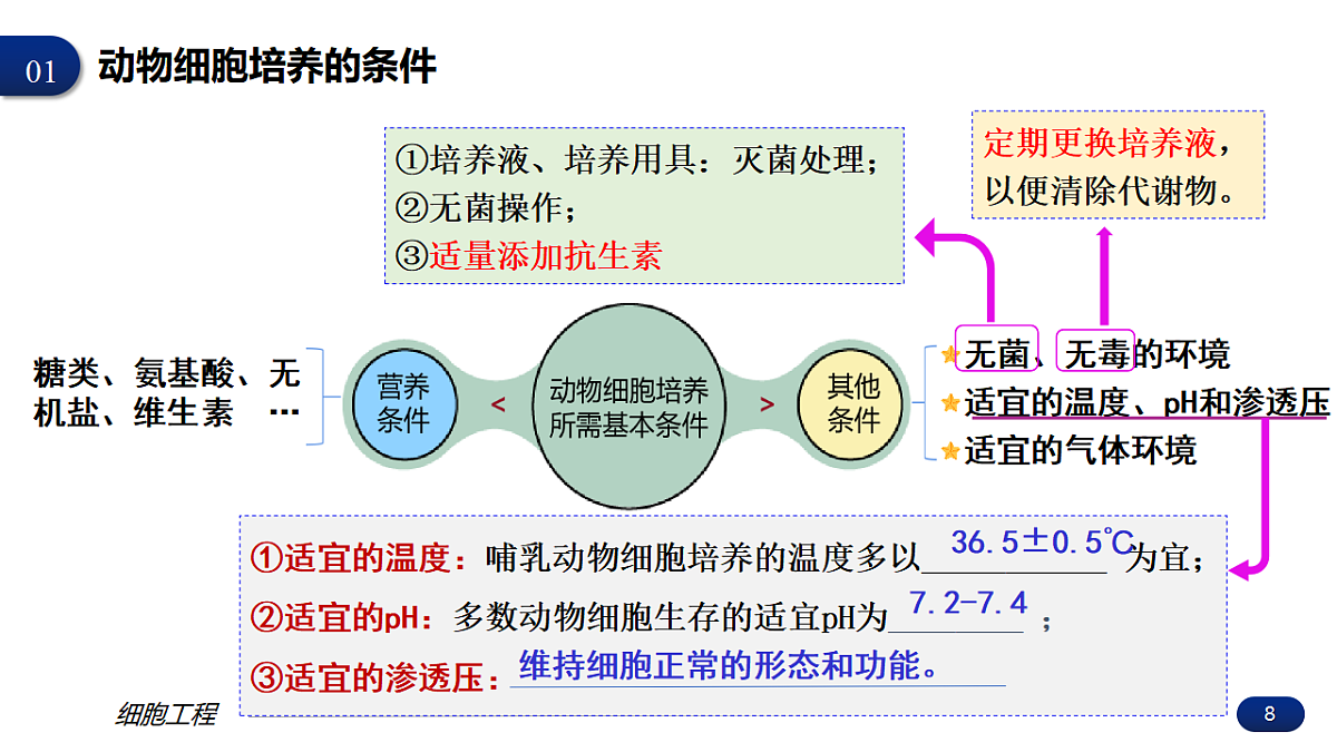 17672721第8页