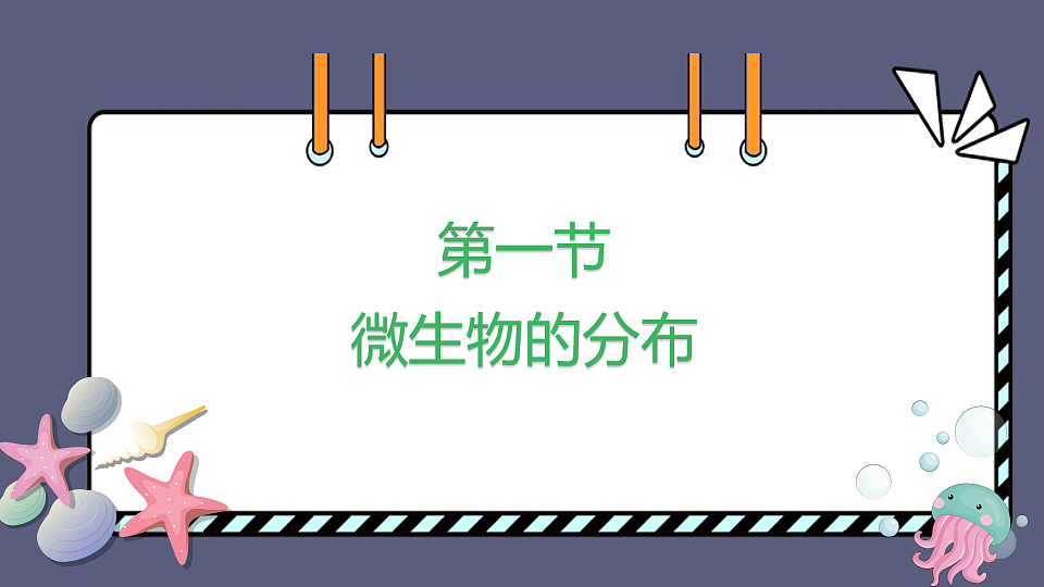 17672776第2页