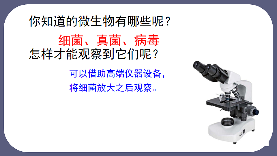 17672776第3页
