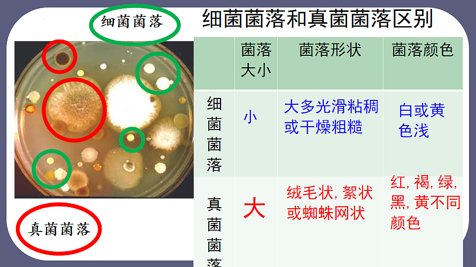 17672776第6页