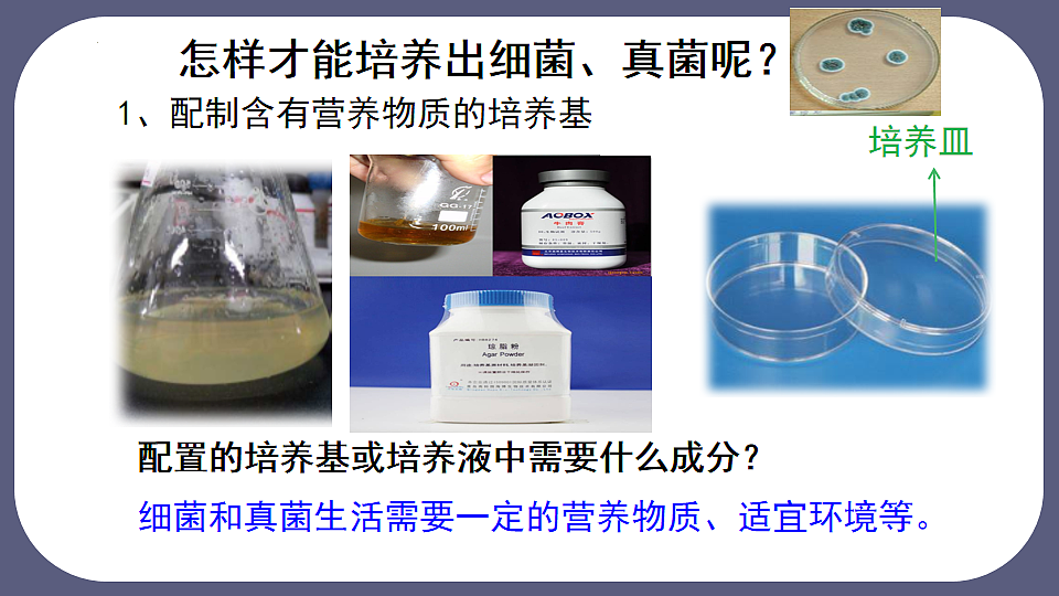 17672776第7页