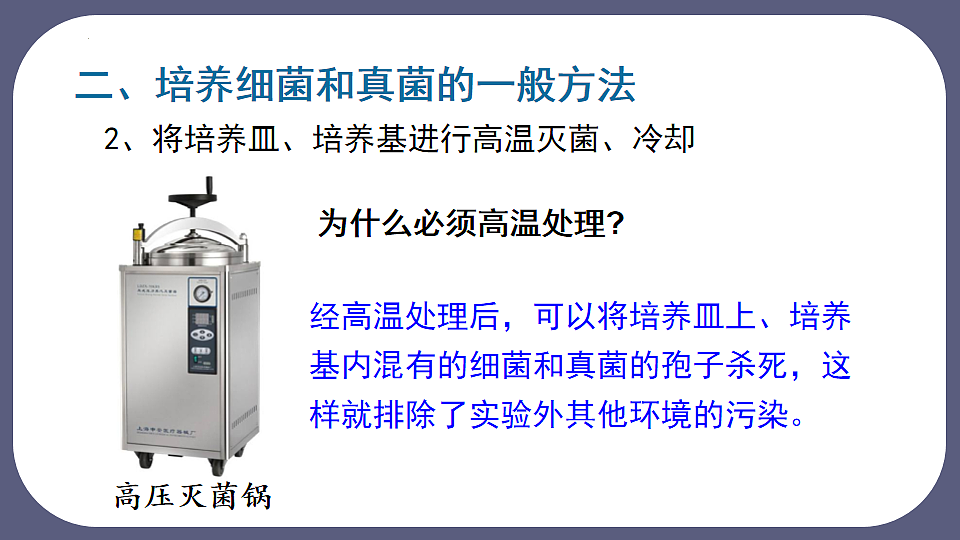 17672776第8页
