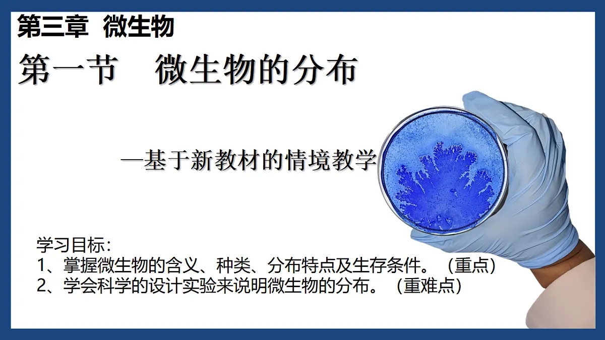 17672777第1页