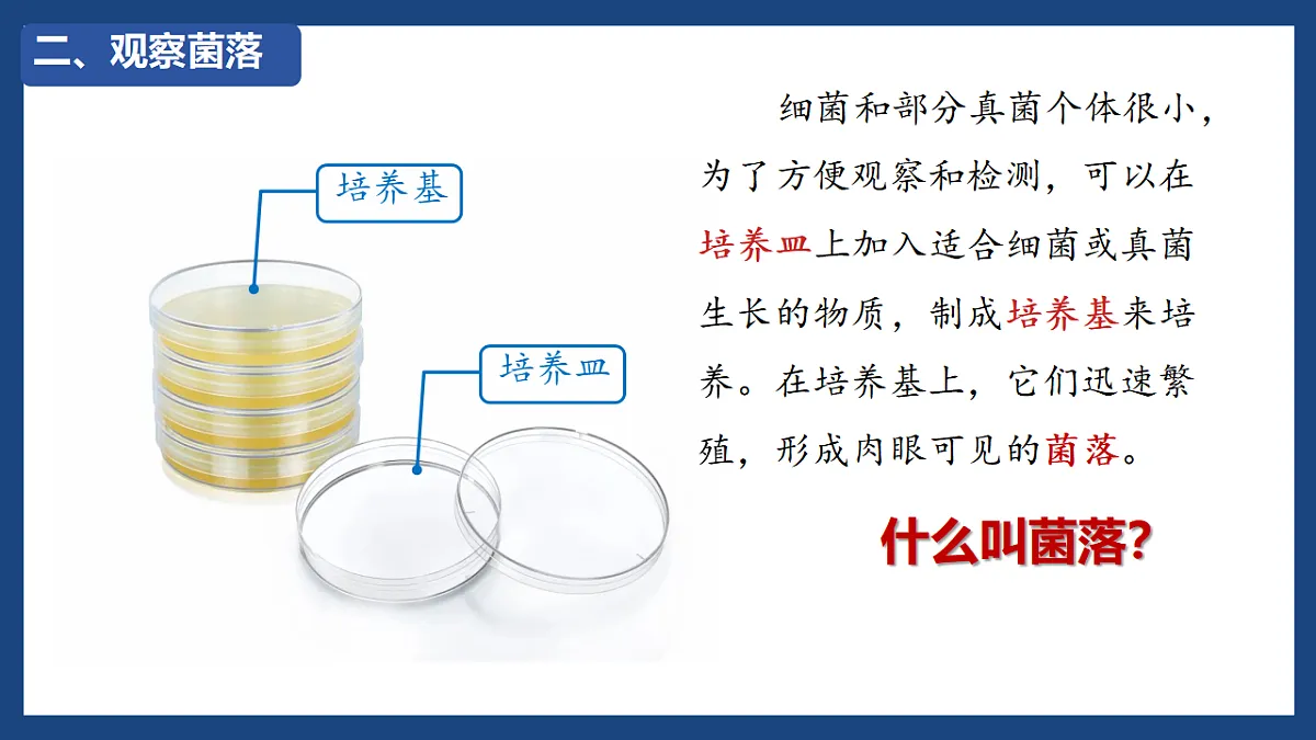 17672777第4页