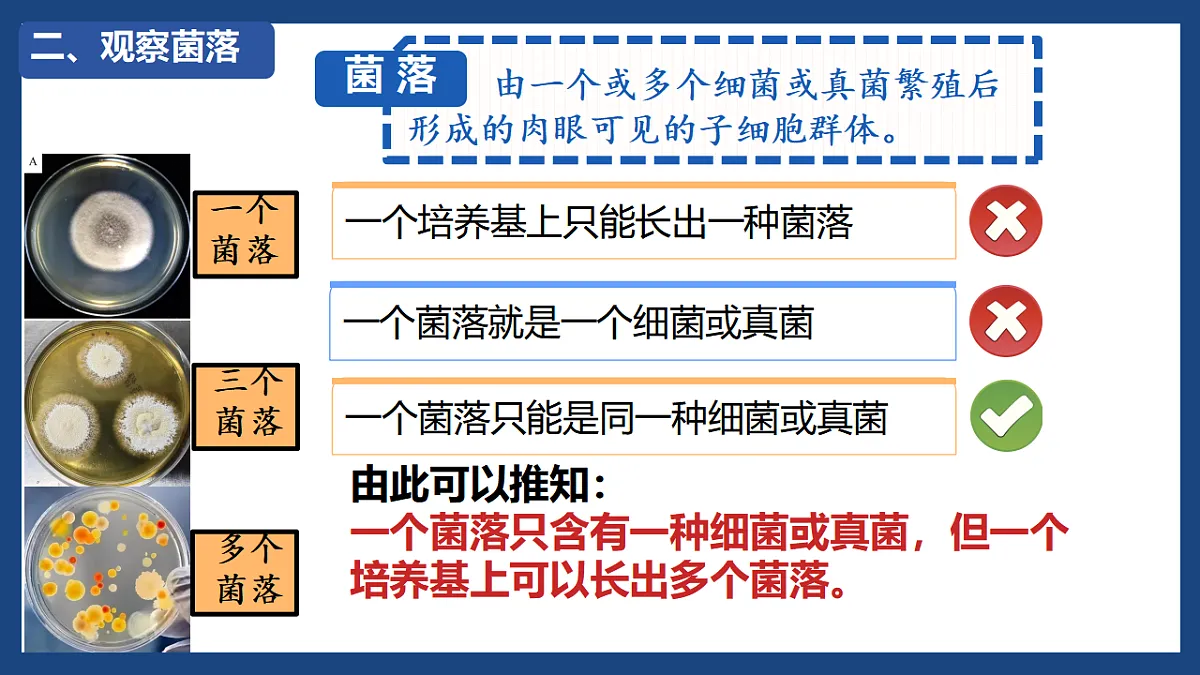 17672777第5页