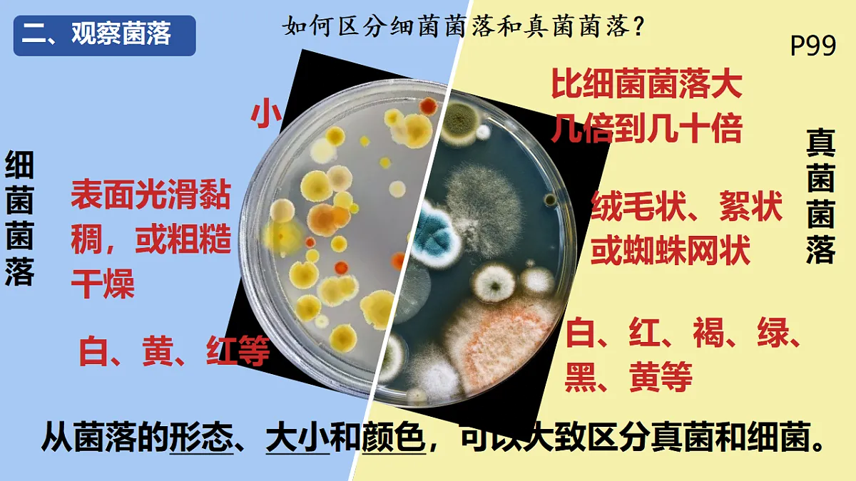 17672777第6页