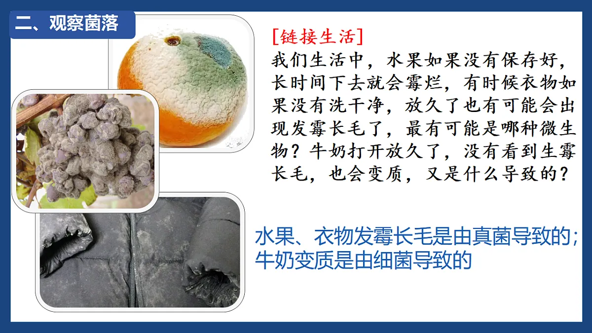 17672777第7页
