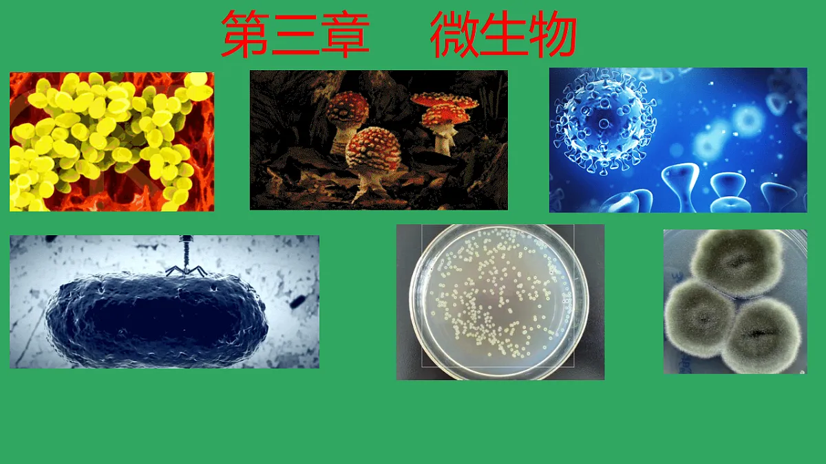 17672780第1页