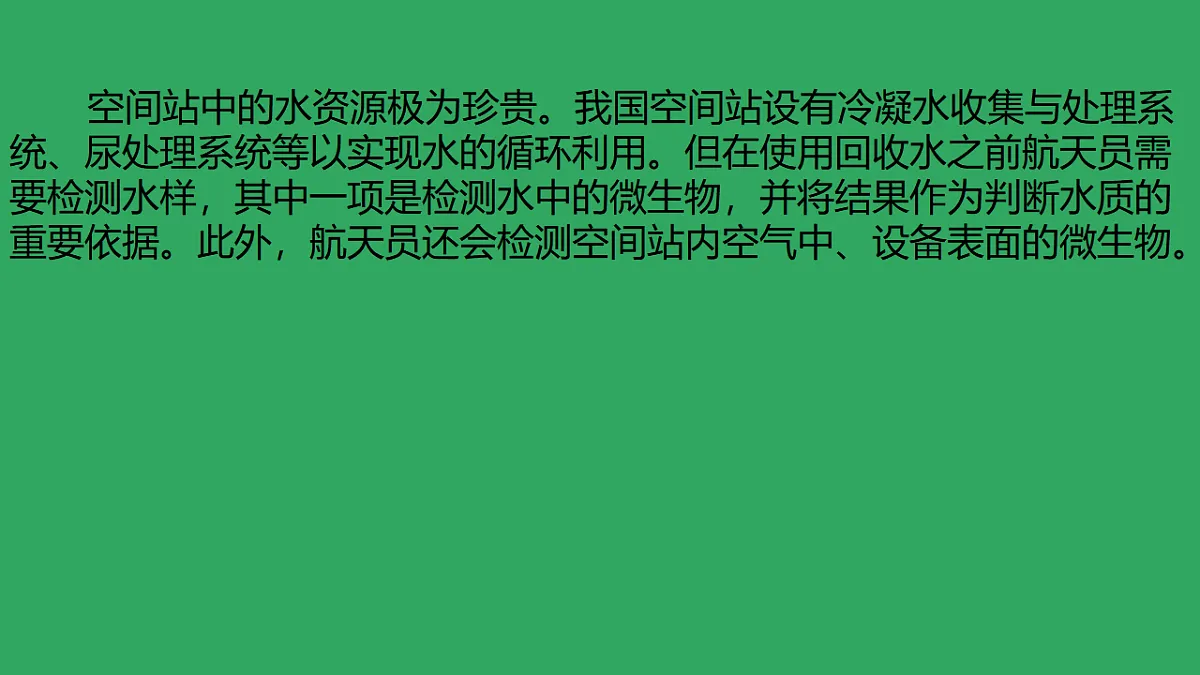 17672780第2页
