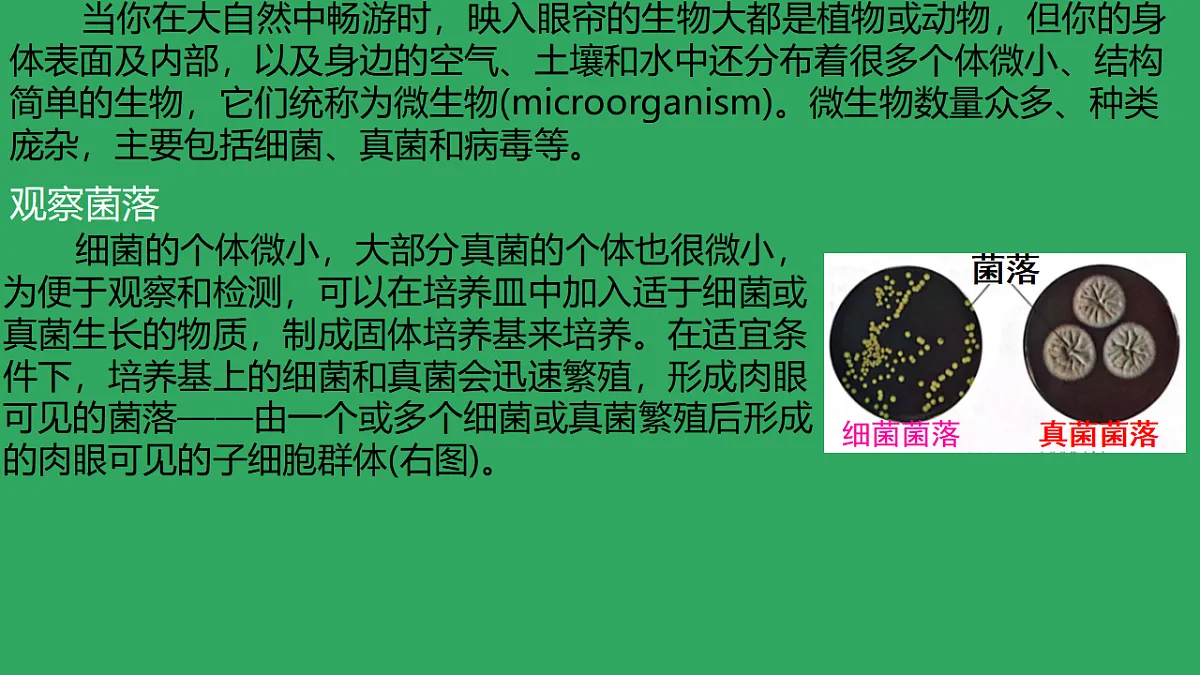 17672780第6页