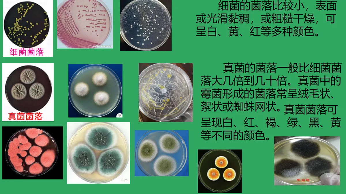 17672780第7页