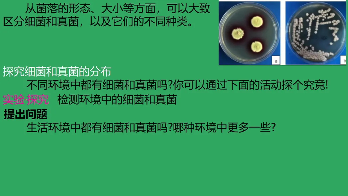 17672780第8页